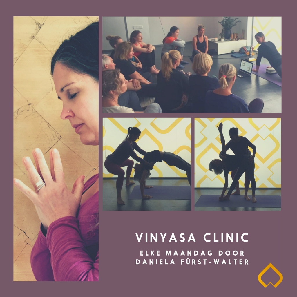 Vinyasa Clinic groot succes!