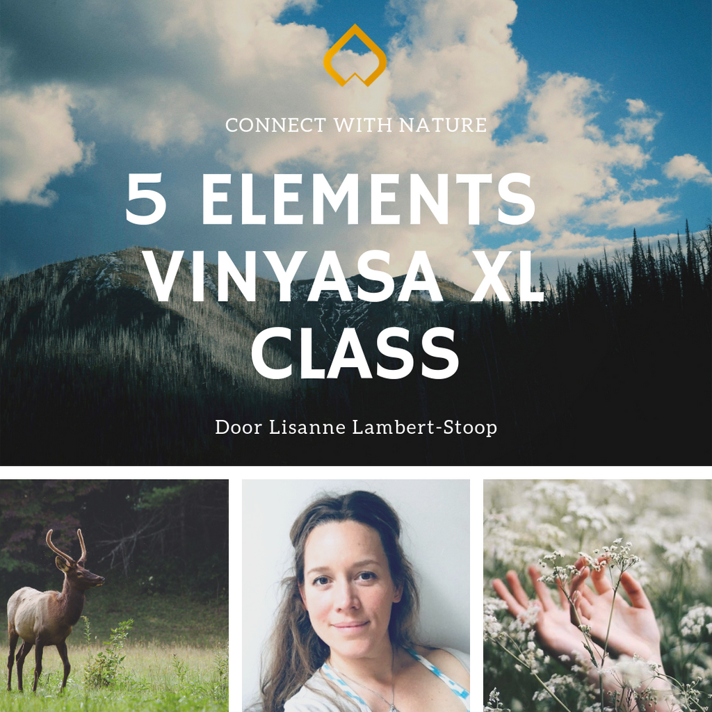 2 maart: Vinyasa XL Class: Connect with Nature